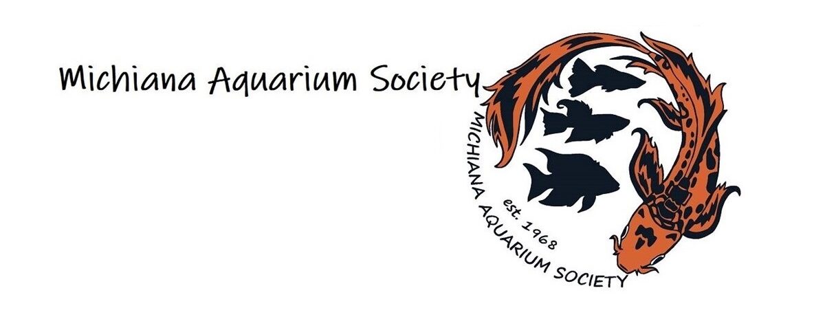 Michiana Aquarium Society
