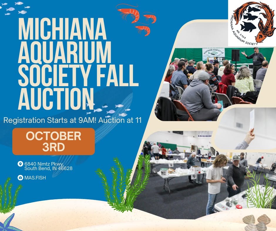 Michiana Aquarium Society Fall Auction 2026 flyer